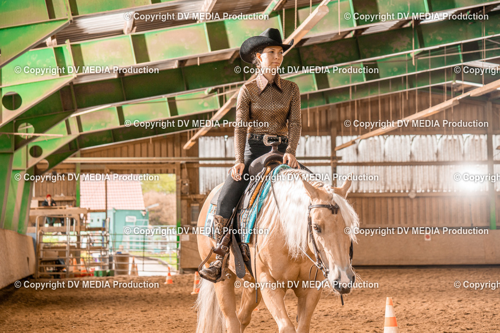 BAL00512 | dv-media-shop - Realisiert mit Pictrs.com