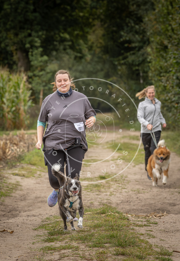 Pfotenfotografie_DV3A7197 | Hundefotografie, Tierfotograf, Pfotenfotografie, Fotoshooting Hund, Hunde Portrait, Hundesport, Hundeportraits, Heideshooting, Hunde, Sportfotograf, Hundefotograf, Turnierhundsport, THS,  - Realisiert mit Pictrs.com