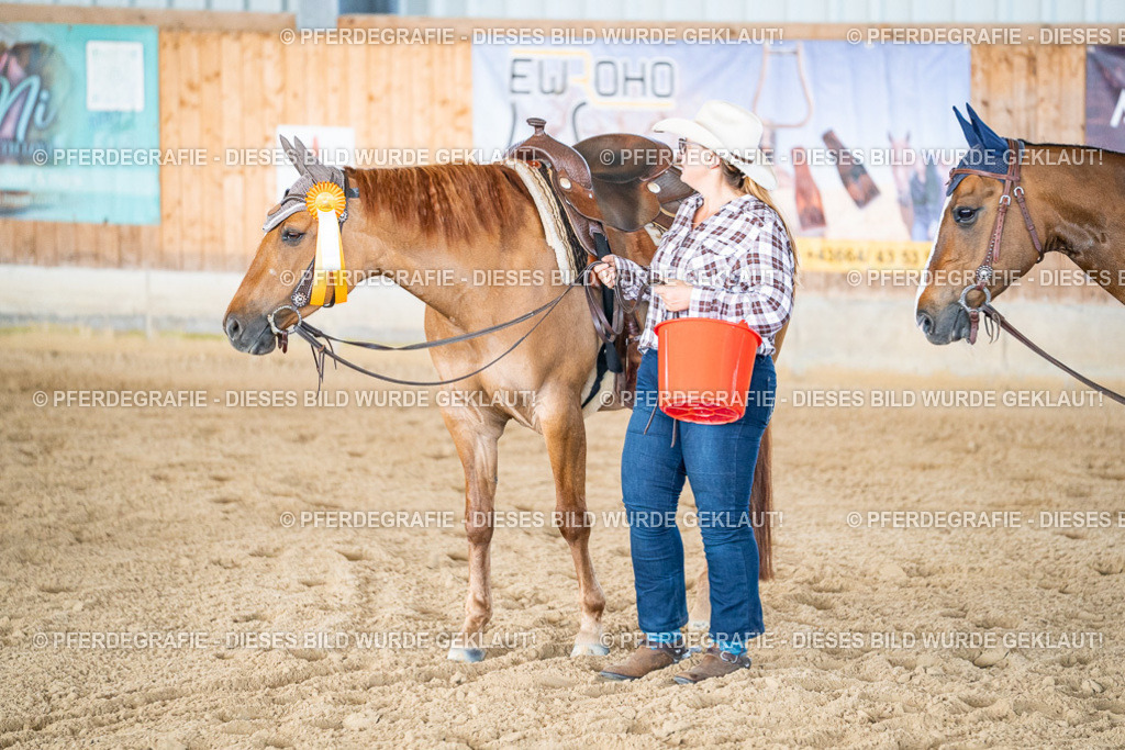 DSC02934 | Pferdegrafie