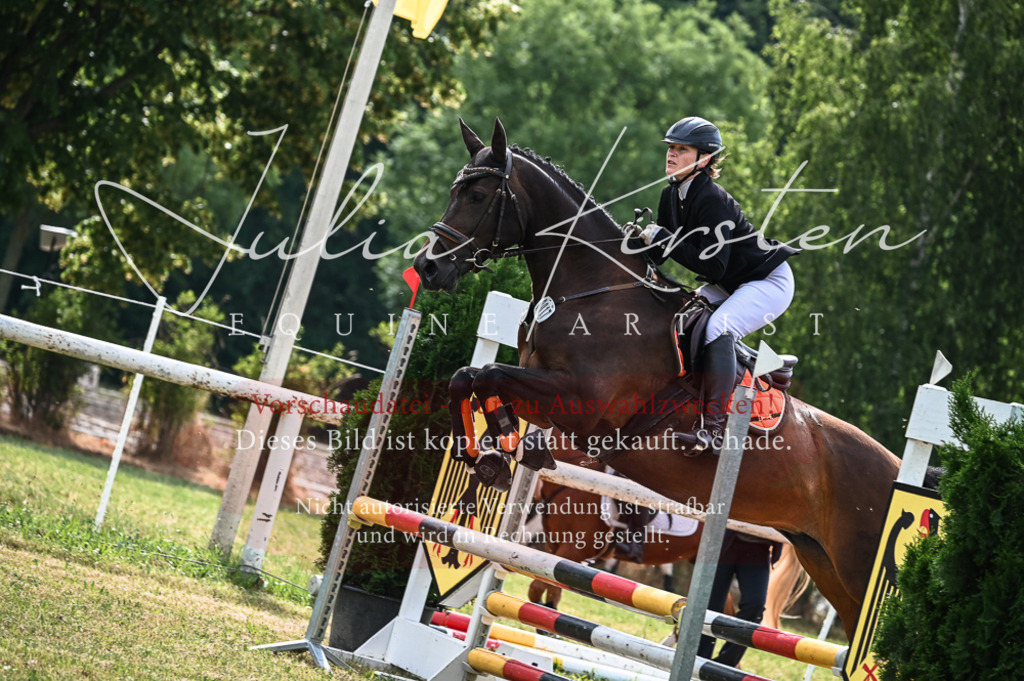 DSC_8291 | Pferde- und Turnierfotografie in Westsachsen. Pferdeportraits, Auftragszeichnungen und intuitive Kunst.
