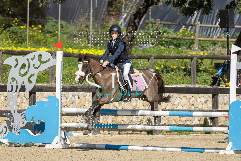 IMG_6288 | s-jay-photography - Realisiert mit Pictrs.com