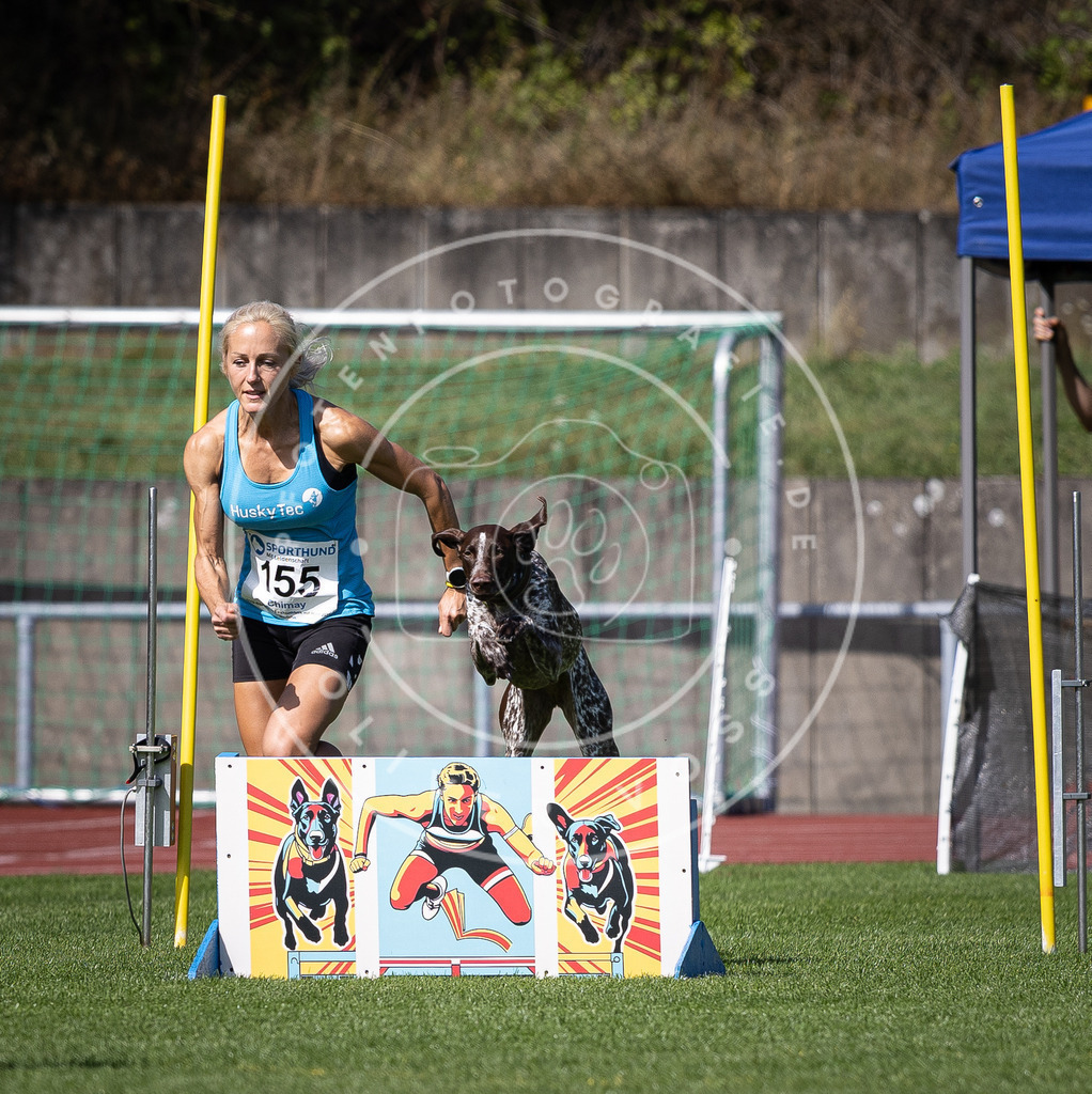 Pfotenfotografie_DV3A9489 | Hundefotografie, Tierfotograf, Pfotenfotografie, Fotoshooting Hund, Hunde Portrait, Hundesport, Hundeportraits, Heideshooting, Hunde, Sportfotograf, Hundefotograf, Turnierhundsport, THS,  - Realisiert mit Pictrs.com