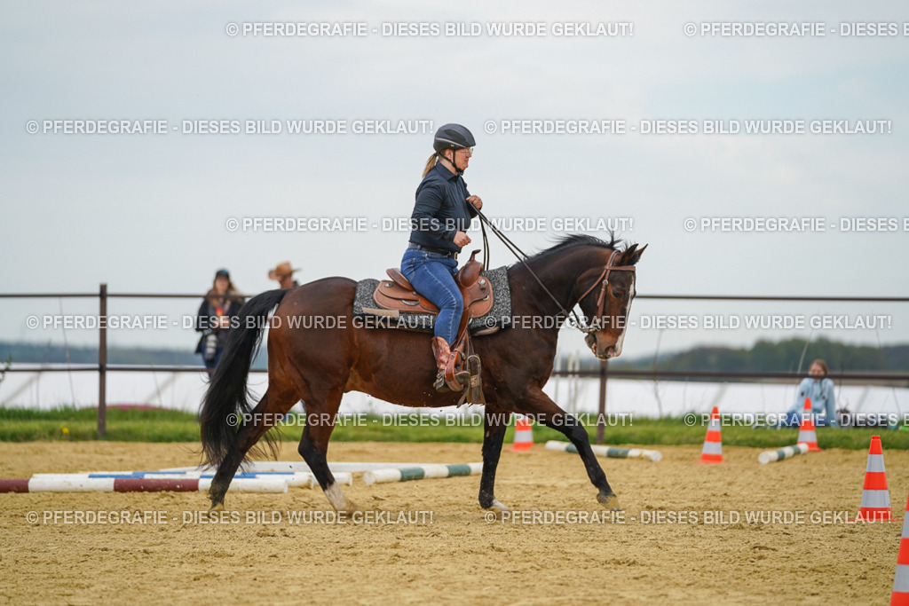 DSC02834 | Pferdegrafie