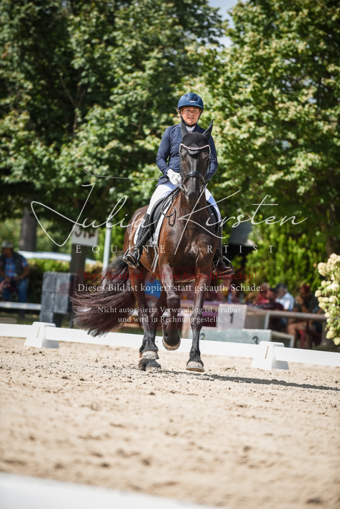 DSC_9165 | Pferde- und Turnierfotografie in Westsachsen. Pferdeportraits, Auftragszeichnungen und intuitive Kunst.