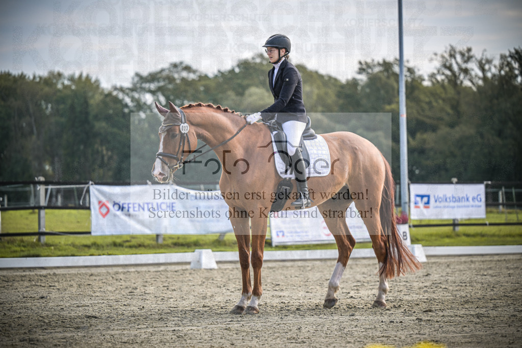 DOS_B071 | Entdecke hochwertige Reitturnierfotos von Foto Oger. Professionell, emotional und authentisch – jetzt Lieblingsmomente im Shop bestellen.Deutschlandweite Turnierfotografie. - Realisiert mit Pictrs.com
