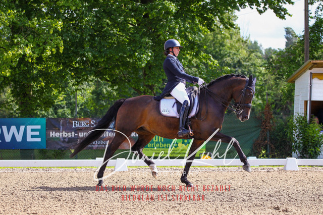 DKP41354 | Turnierfotos kaufen im Webshop von Daniel Kuhl Photography – entdecke professionelle Reitsportfotos aus Turnieren & Events. Hochwertige Turnierbilder online bestellen & sichern. Jetzt Fotos von Reitsportturnieren kaufen!