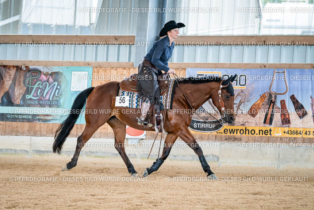 DSC08483 | Pferdegrafie