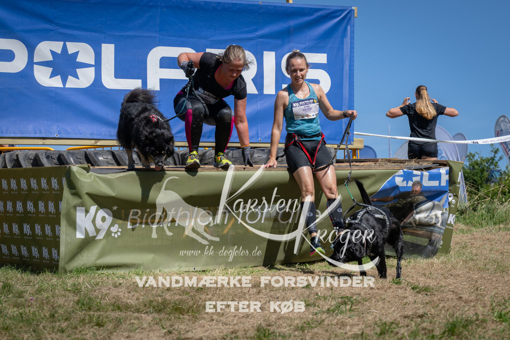 1302_ZZ97887 | kk-dogfotos