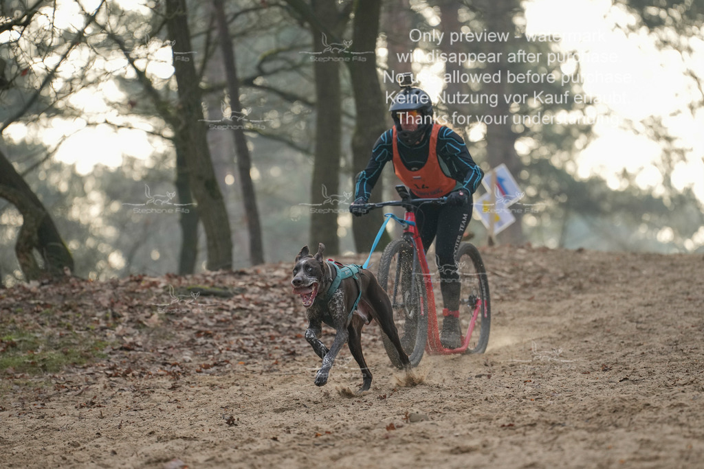 Scooter1-73 | stephaniefillaphotographie - Realisiert mit Pictrs.com