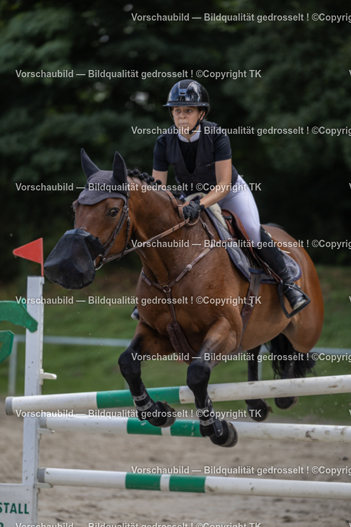 _D5A1517 | Emotionale Pferde- & People-Fotografie rund um Heidelberg, Leimen & Umgebung. Natürliche Fotos von Pferd, Mensch & Familie. Jetzt Termin sichern!