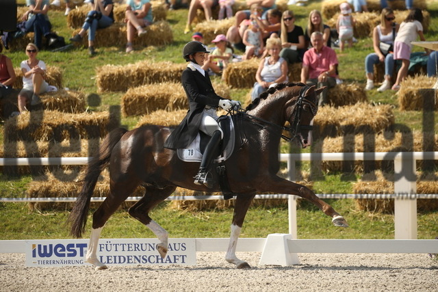 Birkhof_2022_GrandPrixSpecial_Jasmin Schaudt_Fano 3 (8) | Alle Fotos der Reiterjournal Fotografin Doris Matthaes im Reiterjournal Online-Fotoshop. - Realisiert mit Pictrs.com