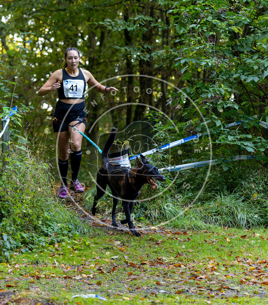 Pfotenfotografie_DV3A6810 | Hundefotografie, Tierfotograf, Pfotenfotografie, Fotoshooting Hund, Hunde Portrait, Hundesport, Hundeportraits, Heideshooting, Hunde, Sportfotograf, Hundefotograf, Turnierhundsport, THS,  - Realisiert mit Pictrs.com