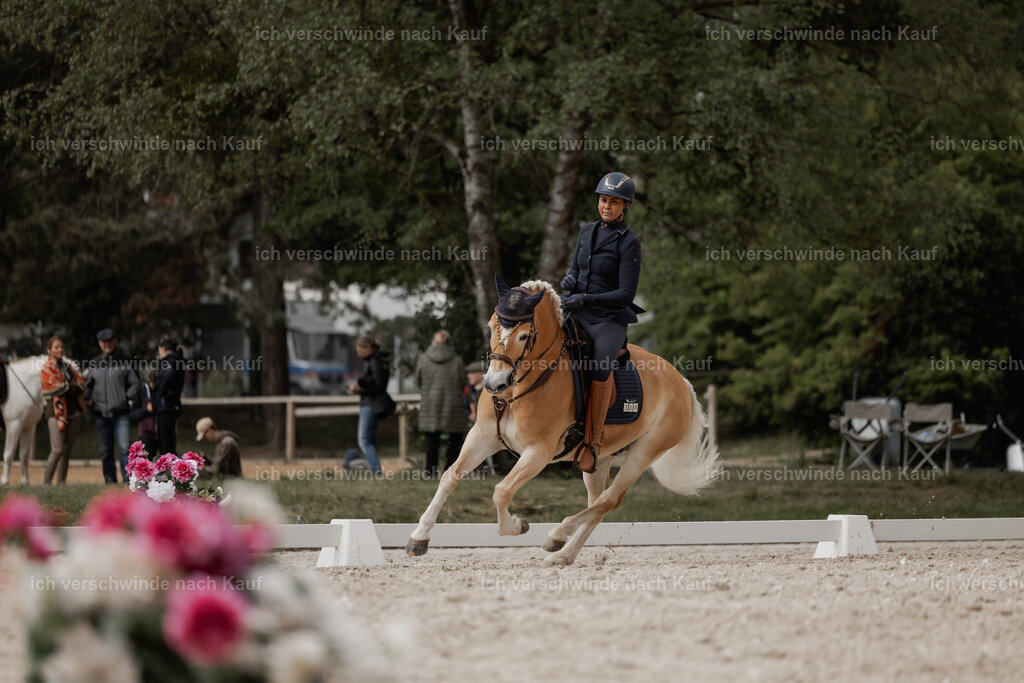 WE_DR_Stoib_308_PI2025_242 | Pferd International München 2025