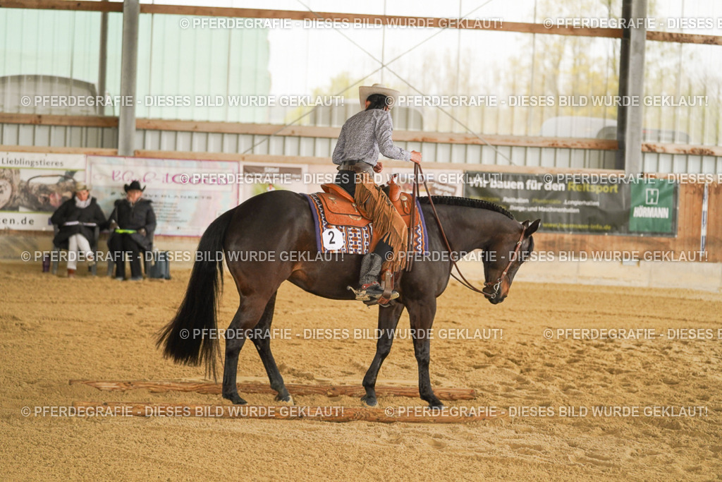 DSC04137 | Pferdegrafie