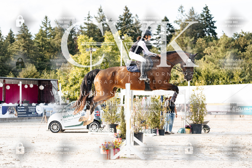 CK903340 | Turnierfotografie Pferdefotografie Trier Rheinland-Pfalz Pferdesport Reitsport Tierfotografie Sportfotografie Pferdevideo Pferdevideografie Equestrianvideography equestrianphotography  - Realisiert mit Pictrs.com