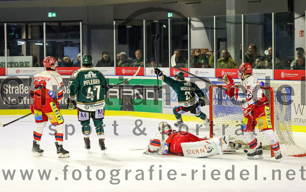2026-02-20_149_TSV_Erding_gegen_Deggendorfer_SC | Erding, Deutschland, 20.02.2026:Eishockey, Oberliga Süd 2025 / 2026, 49. Spieltag, TSV Erding gegen Deggendorfer SC, Endergebnis: 4:1Marco Pfleger (Erding Gladiators, #47), Erik Modlmayr (Erding Gladiators, #21), Luca Zitterbart (Deggendorfer SC, #33), Torwart Timo Pielmeier (Deggendorfer SC, #51)Foto: Christian Riedel / fotografie-riedel.net