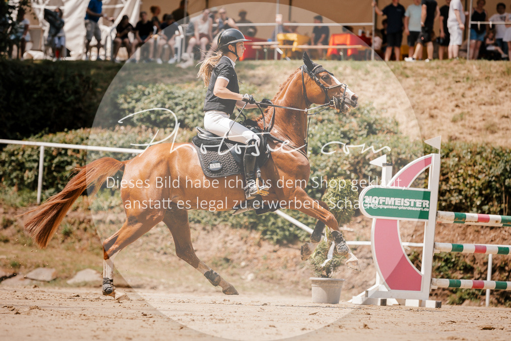 3I6A7936 | Stimmungsvolle Portraits und Reitsportfotografie im Ruhrgebiet und im Münsterland.

Pferdefotografie, Hundefotografie, Tierfotografie, Reportagen, Portraits von Tier und Mensch, Turnierfotografie in Bochum, Recklinghausen, Marl, Haltern am See, Dülmen.. - Realisiert mit Pictrs.com