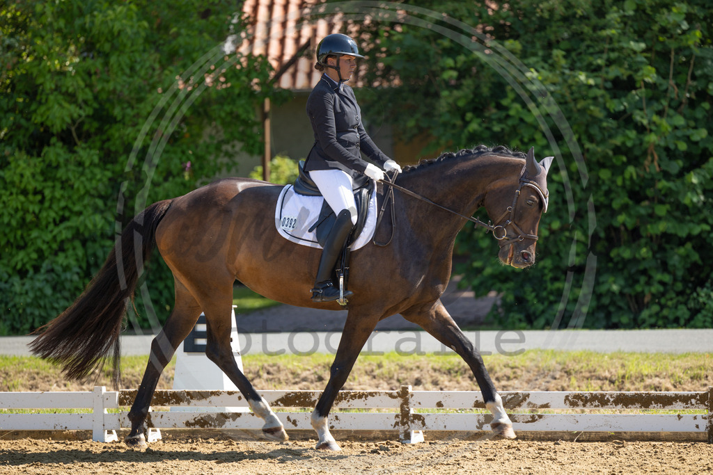 994A2973 | sabrinanicolaifotografie - Realisiert mit Pictrs.com