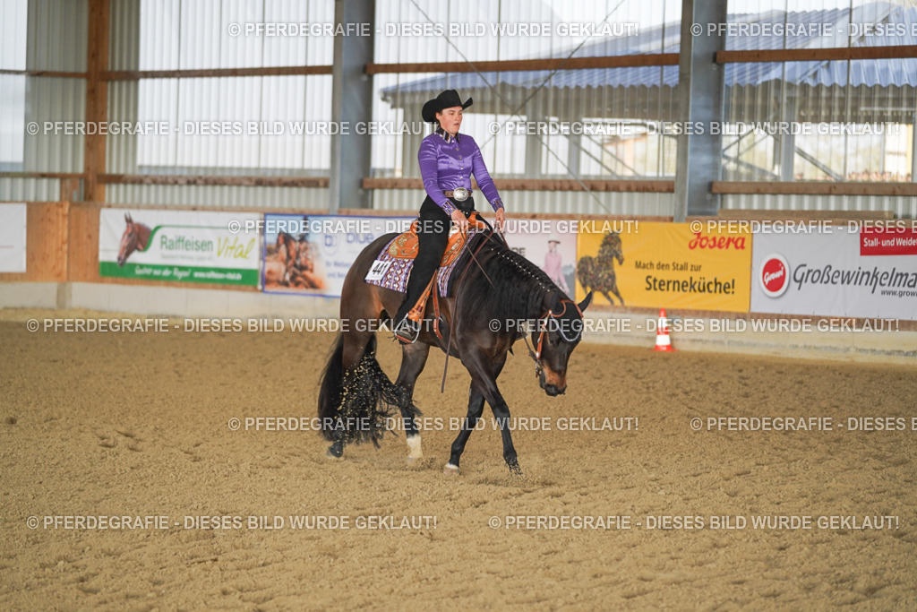 DSC09023 | Pferdegrafie