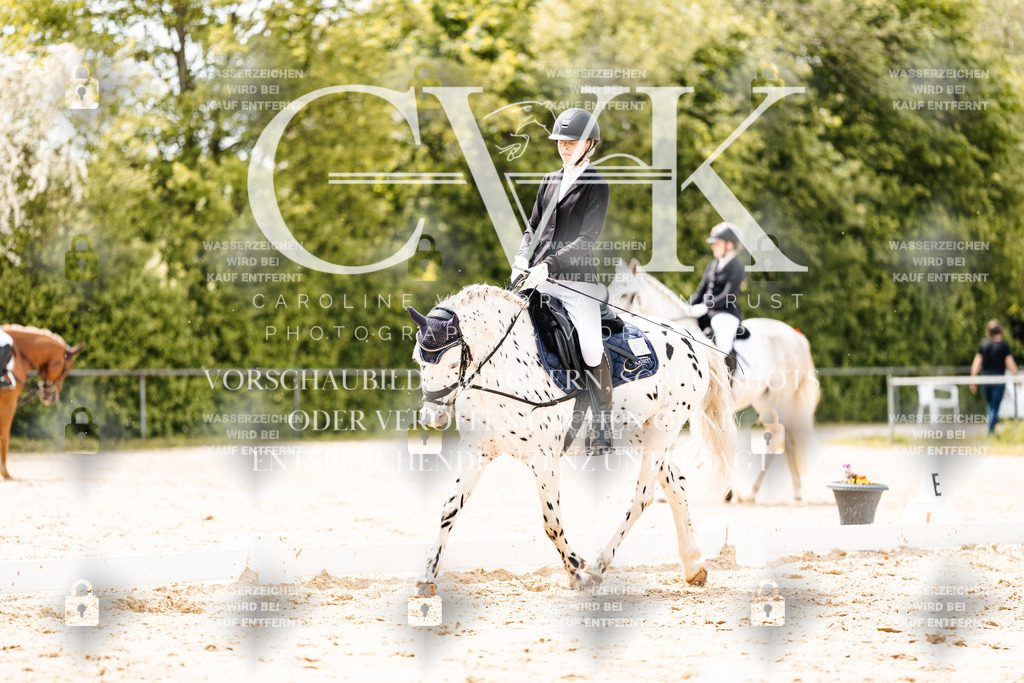 CK902329 | Turnierfotografie Pferdefotografie Trier Rheinland-Pfalz Pferdesport Reitsport Tierfotografie Sportfotografie Pferdevideo Pferdevideografie Equestrianvideography equestrianphotography  - Realisiert mit Pictrs.com