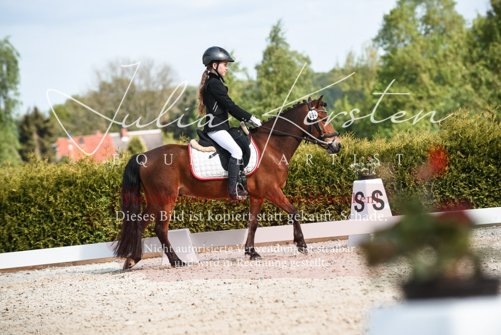 20230518_JK-Röhrsdorf-12-0357 | Pferde- und Turnierfotografie in Westsachsen. Pferdeportraits, Auftragszeichnungen und intuitive Kunst.