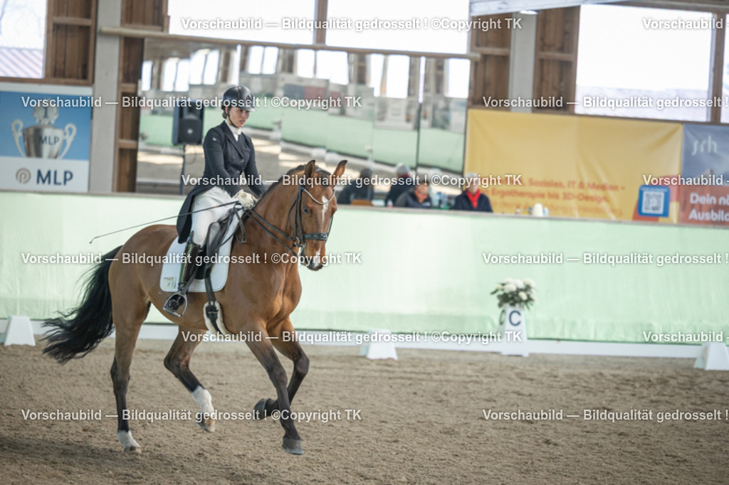 _D5A0018 | Emotionale Pferde- & People-Fotografie rund um Heidelberg, Leimen & Umgebung. Natürliche Fotos von Pferd, Mensch & Familie. Jetzt Termin sichern!