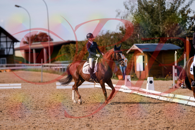 2026_10_03_Siefer-Hof_133157_Z81_87680909 | Professionelle Reitsport-, Turnier- und Eventfotografie von Robert Broda. Galerien mit ausgewählten und bearbeiteten Bildern direkt online ansehen und bestellen.