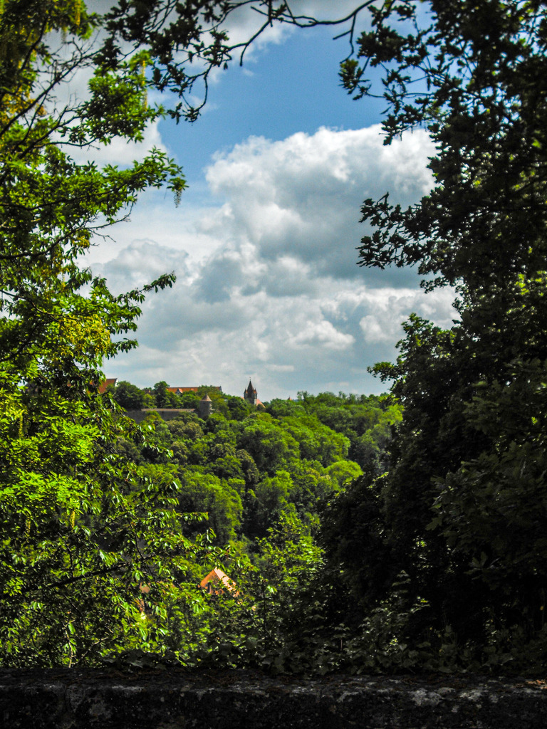 CIMG5455 | Rothenburg ob der Tauber. Nur hier gibt es Exklusive und passend zur Jahreszeit Ihr Wandbild, T-Shirt, Tasse und alles was das Rothenburg Herz begehrt. - Realisiert mit Pictrs.com