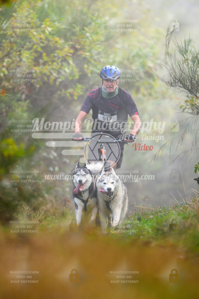 MompixPhotography_20TSB_E4_DS2-25 | PayLife