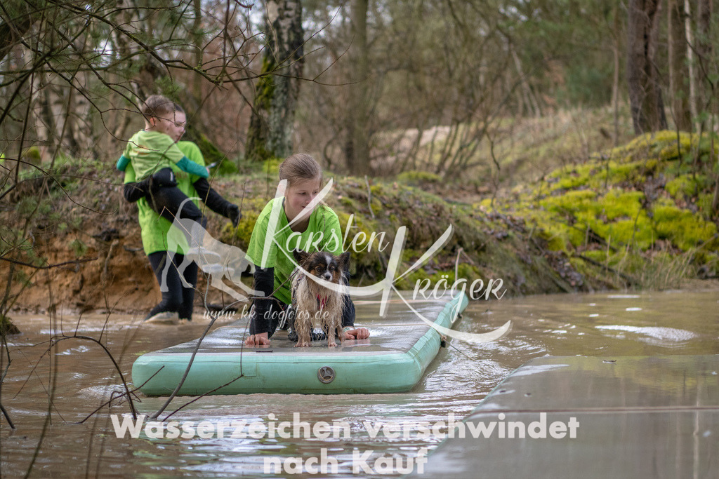 0951_ZZ91486 | kk-dogfotos
