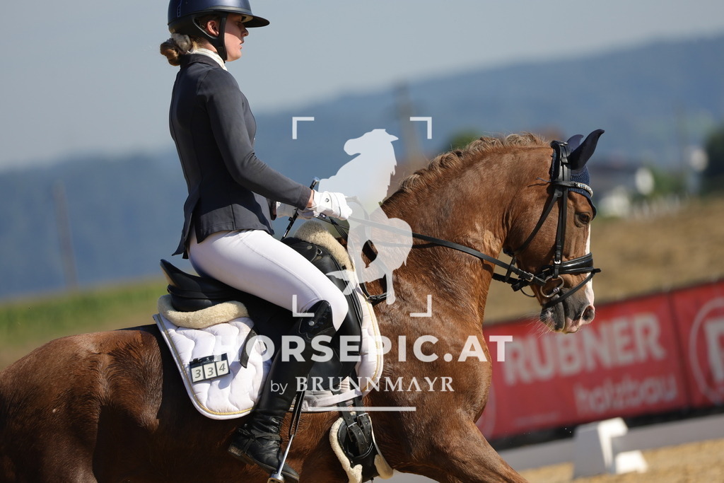 0P6A8792 | Willkommen bei Brunnmayr - Design & Fotografie – Ihrem Spezialisten für Reitturniere und Pferdeveranstaltungen in Oberösterreich, Salzburg und Bayern! Seit über 17 Jahren sind wir leidenschaftlich dabei.