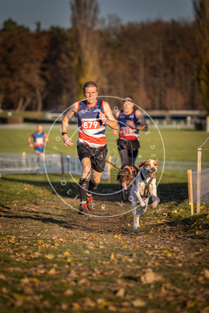 CaniXpix_DV3A4284 | Hundefotografie, Tierfotograf, Pfotenfotografie, Fotoshooting Hund, Hunde Portrait, Hundesport, Hundeportraits, Heideshooting, Hunde, Sportfotograf, Hundefotograf, Turnierhundsport, THS,  - Realisiert mit Pictrs.com