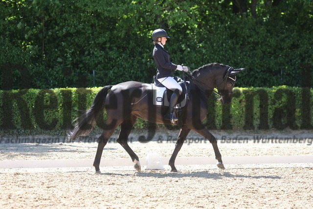 Böblingen_2025_Prfg.Nr.08_Dressurprüfung_Kl.M_Nürnberger Burgpokal_Pia Dangel_Finett 51 (3) | Alle Fotos der Reiterjournal Fotografin Doris Matthaes im Reiterjournal Online-Fotoshop. - Realisiert mit Pictrs.com