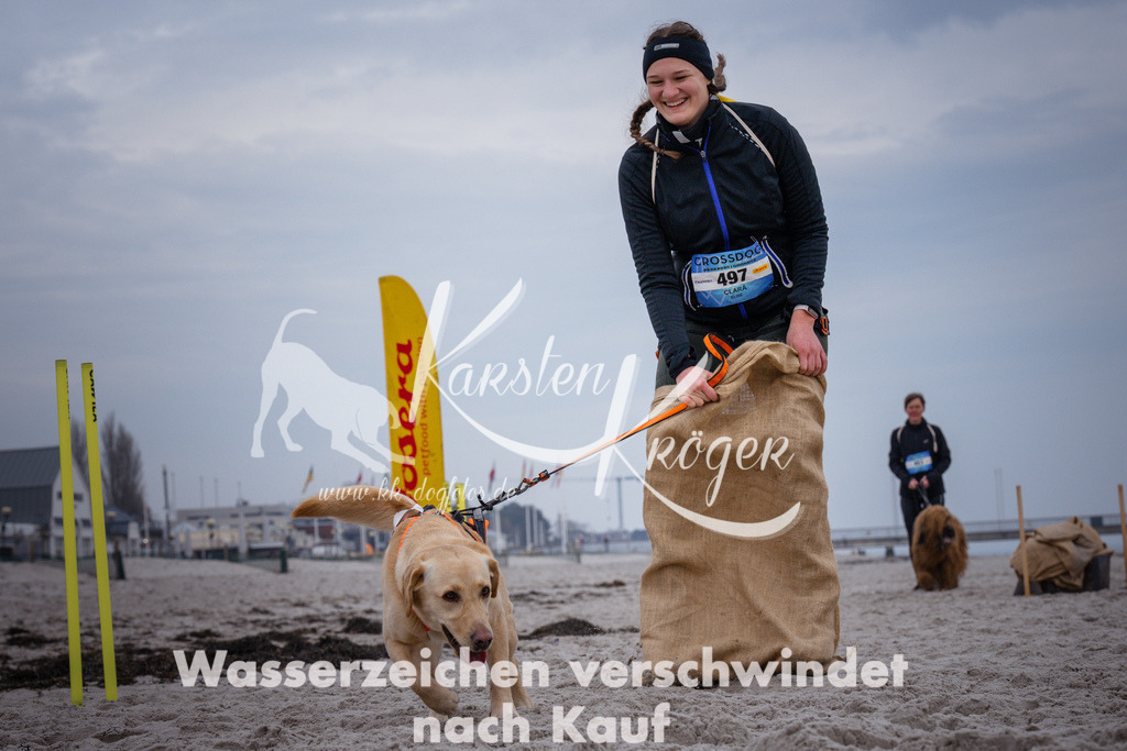 1213_ZZ92708 | kk-dogfotos