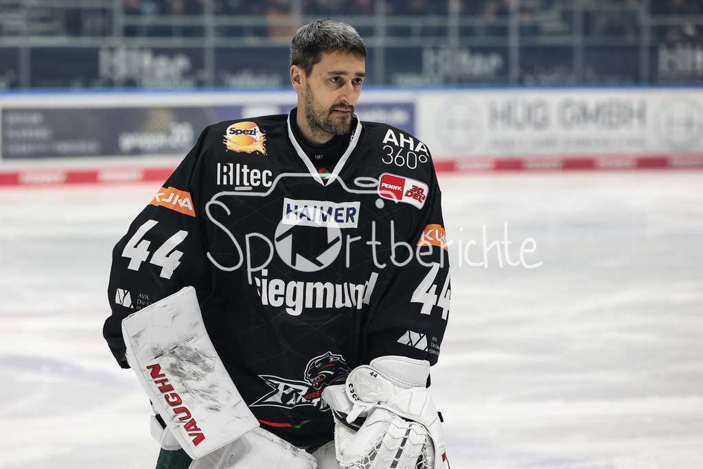 Augsburger Panther - ERC Ingolstadt | Panther Keeper Dennis ENDRAS (AEV #44) in Aktion / Freisteller / Einzelfoto