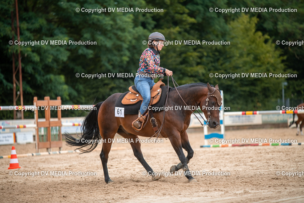 ZS2_8566 | dv-media-shop - Realisiert mit Pictrs.com