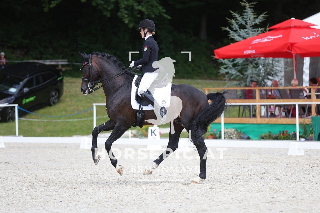 0P6A1186 | Willkommen bei Brunnmayr - Design & Fotografie – Ihrem Spezialisten für Reitturniere und Pferdeveranstaltungen in Oberösterreich, Salzburg und Bayern! Seit über 17 Jahren sind wir leidenschaftlich dabei.