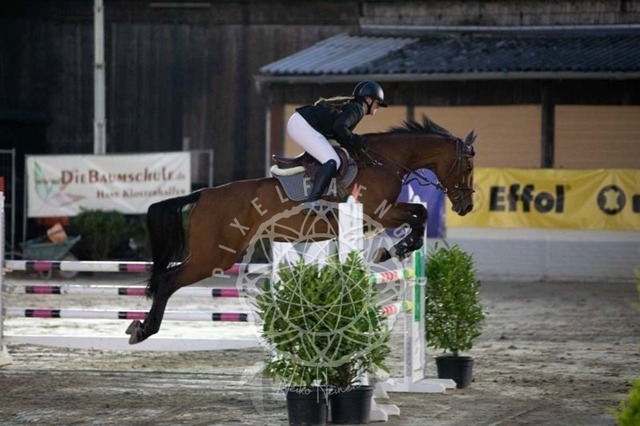 2B4A1931 | pixelfaenger - Realisiert mit Pictrs.com