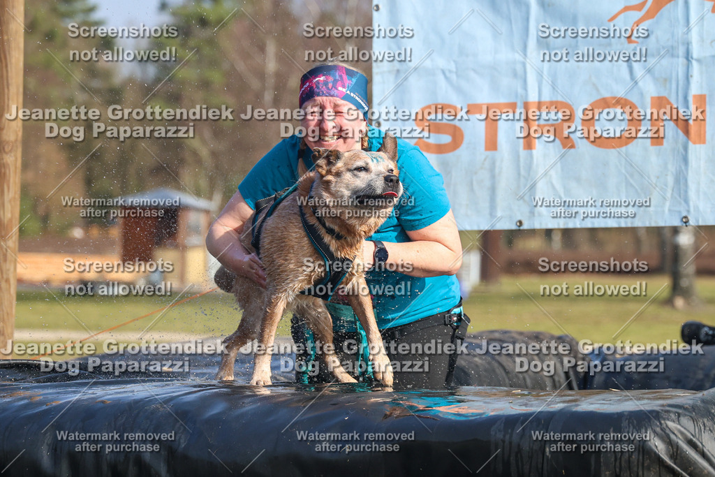 Dog Paparazzi - Strongdog North Mrz26-2852 | Dog Paparazzi Jeanette Grottendiek Fotografie & Videografie - Realisiert mit Pictrs.com