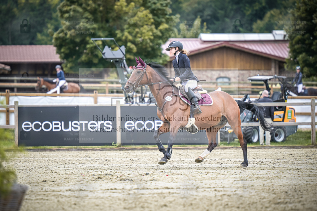 DOS_2024 | Entdecke hochwertige Reitturnierfotos von Foto Oger. Professionell, emotional und authentisch – jetzt Lieblingsmomente im Shop bestellen. - Realisiert mit Pictrs.com
