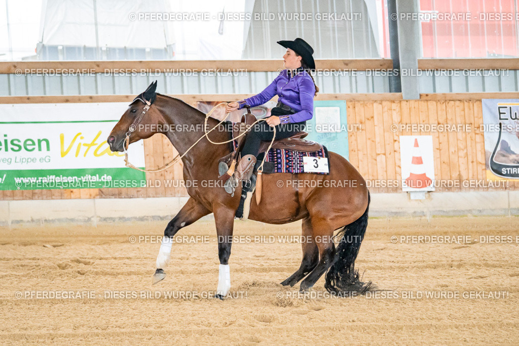 DSC06215 | Pferdegrafie