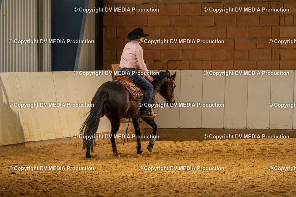 MIT01314 | dv-media-shop - Realisiert mit Pictrs.com