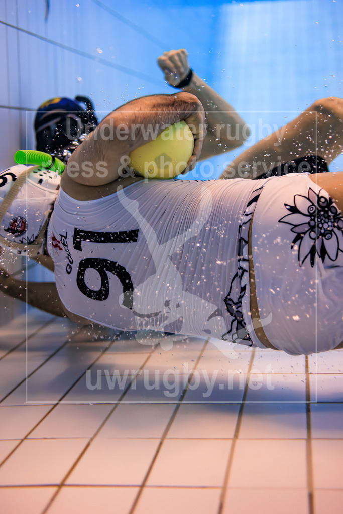 Underwater rugby action press picture | Bamberg, Germany - March 04 2023: Underwater rugby training camp of the Tauchclub Bamberg together with the Austrian national team. - Realisiert mit Pictrs.com