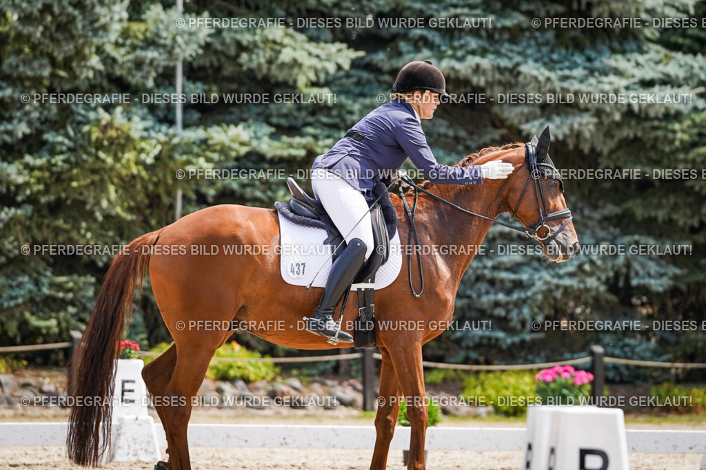 DSC00671 | Pferdegrafie