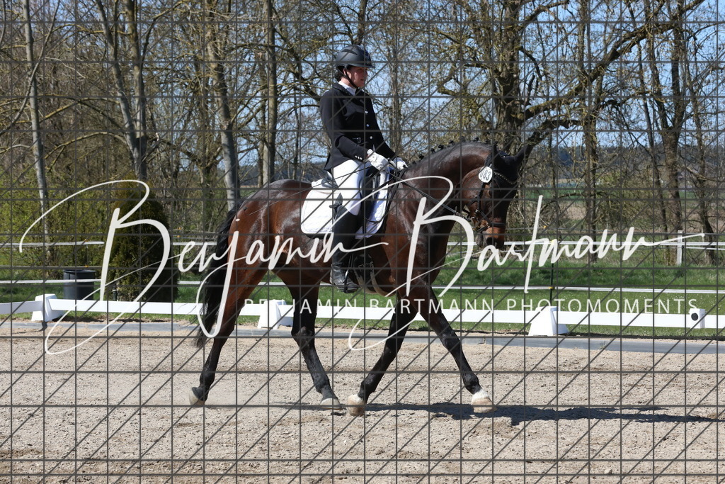 AZ2A4366 | Benjamin Bartmann Photomoments