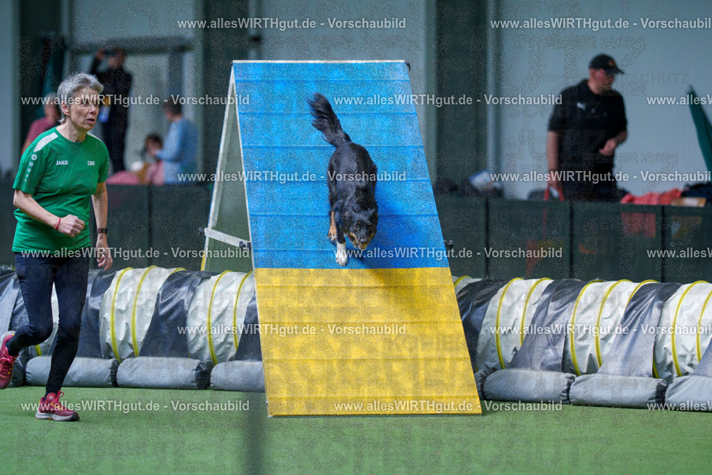 @allesWIRTHgut_Tierfotografie - www.allesWIRTHgut.de - 2604251438-7R505189 | Professionelle Tierfotografie in Mönchengladbach von Daniel Wirth (allesWIRTHgut). Liebevolle & natürliche Bilder von Hunden & Katzen für unvergessliche Erinnerungen.