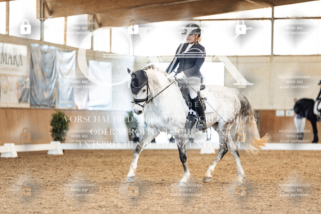 CK909682 | Turnierfotografie Pferdefotografie Trier Rheinland-Pfalz Pferdesport Reitsport Tierfotografie Sportfotografie Pferdevideo Pferdevideografie Equestrianvideography equestrianphotography  - Realisiert mit Pictrs.com