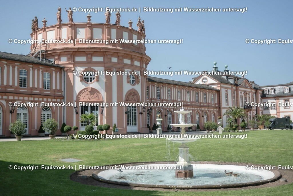 ZFC_3974 | equistock