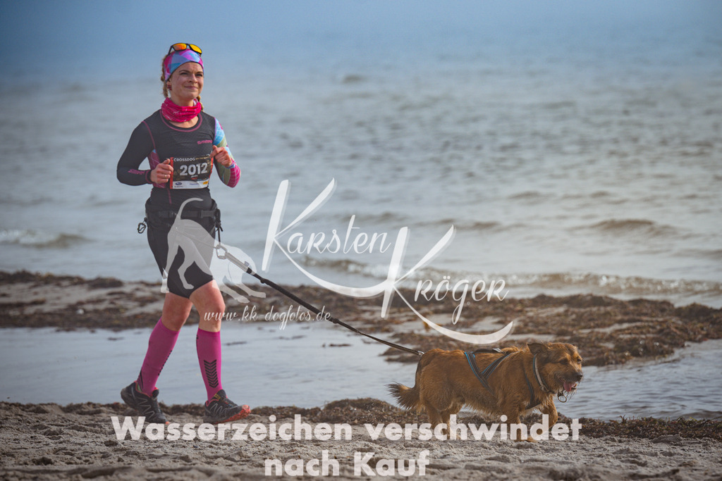 1139_ZZ99915 | kk-dogfotos