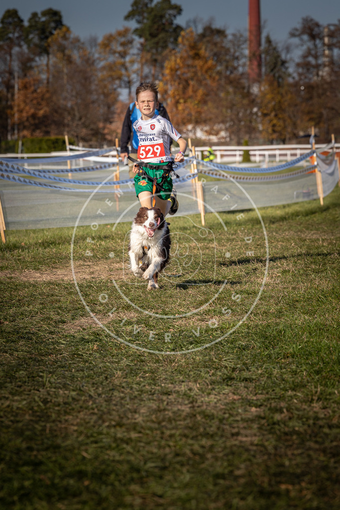 CaniXpix_0L8A7320 | Hundefotografie, Tierfotograf, Pfotenfotografie, Fotoshooting Hund, Hunde Portrait, Hundesport, Hundeportraits, Heideshooting, Hunde, Sportfotograf, Hundefotograf, Turnierhundsport, THS,  - Realisiert mit Pictrs.com